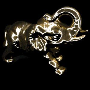 🔥$5 Gold Goodluck Gold Elephant